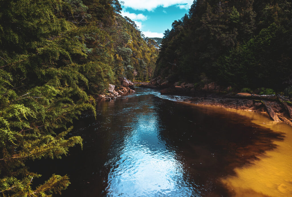 "The Confluence" where the Queen and King Rivers meet near Queenstown, Tasmania.