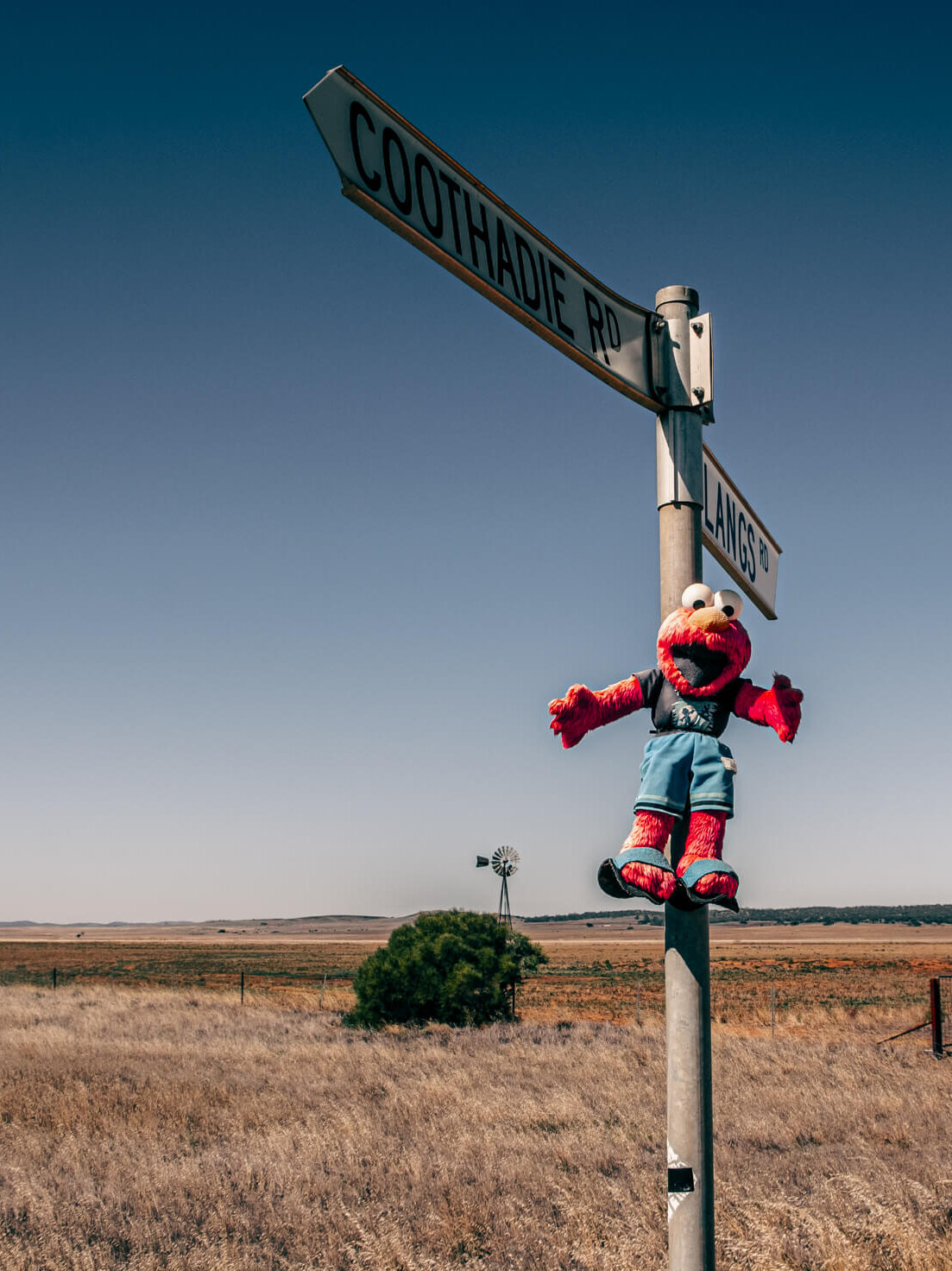 A toy Elmo attached to a sign in the outback of South Australia.